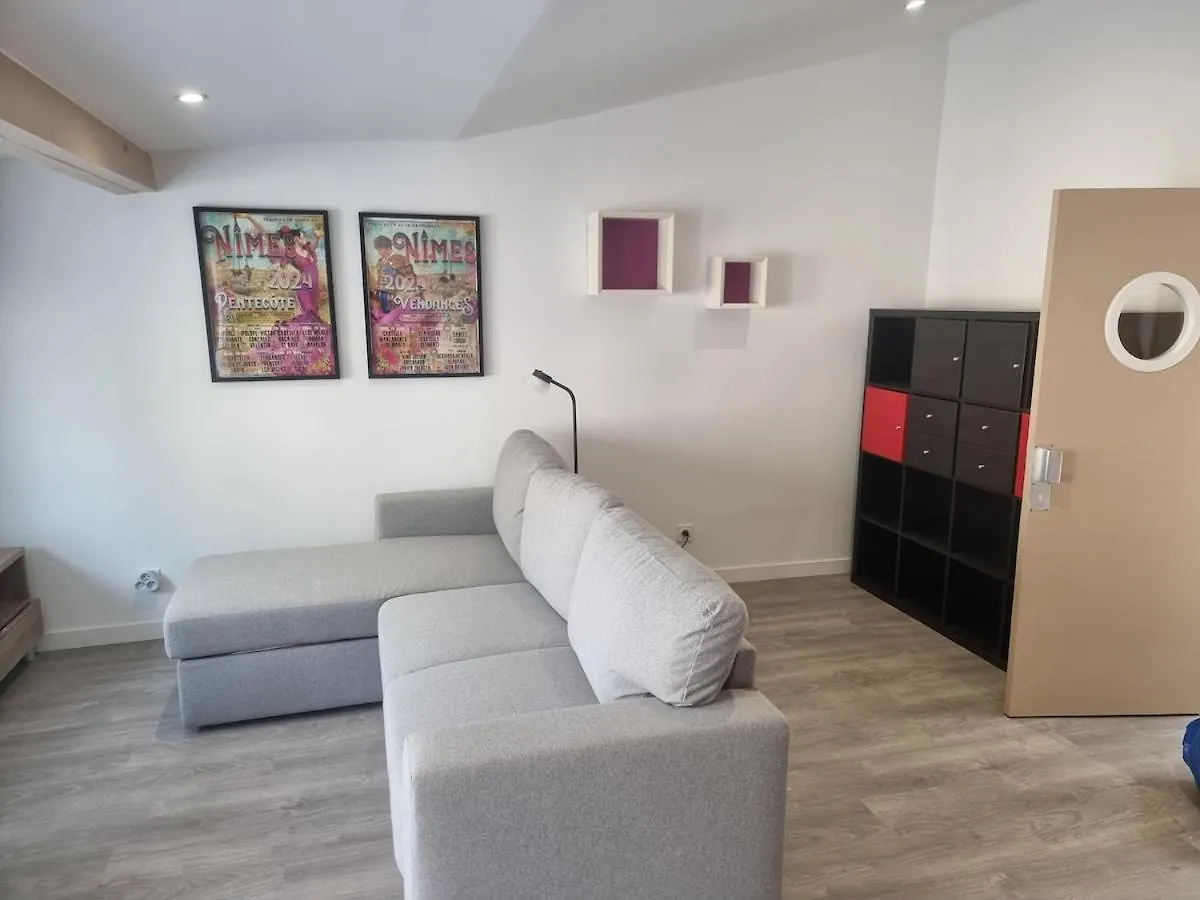Studio With Terrace, Very Central Avignon