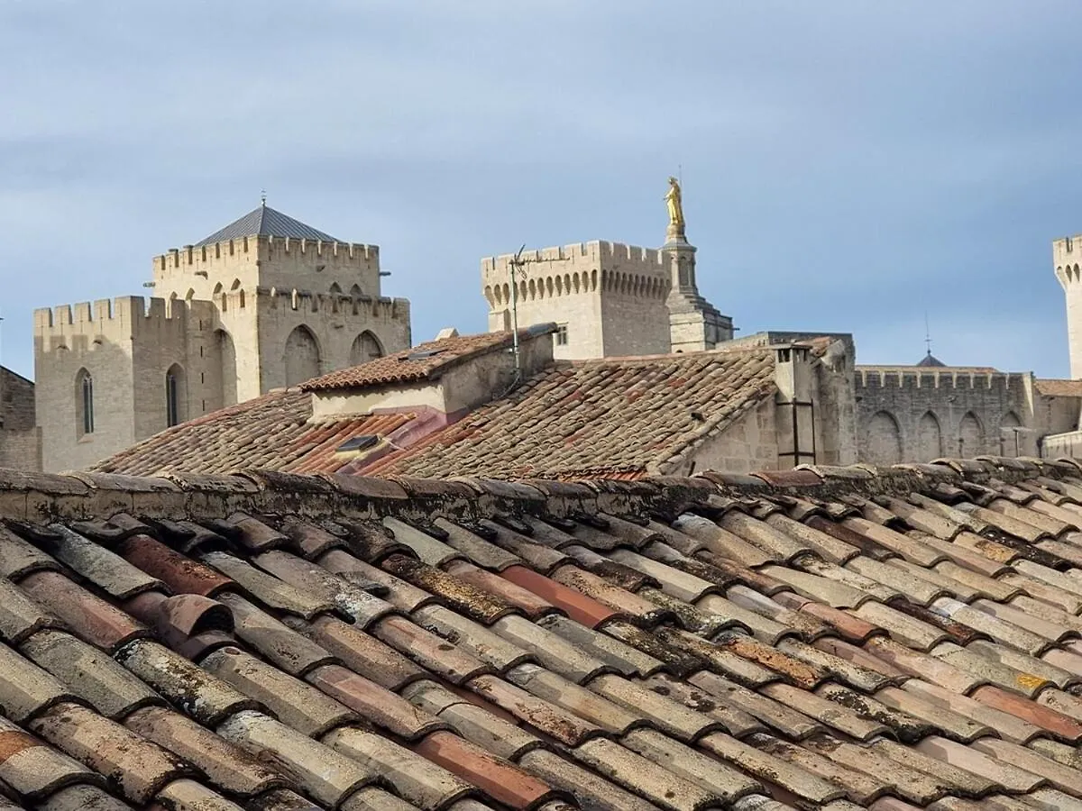 Studio With Terrace, Very Central Avignon Apartment